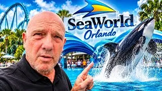Thumbnail: Comic con +🐬 SeaWorld Orlando vlog