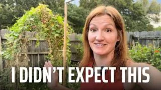 Thumbnail: I Left My Garden for a Month...Here's What Happened