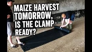 Thumbnail: MAIZE HARVEST TOMORROW, IS THE CLAMP READY?