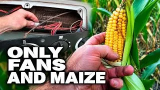 Thumbnail: ONLY FANS AND MAIZE