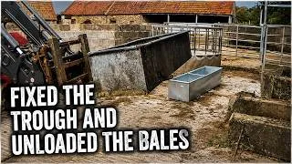Thumbnail: FIXED THE TROUGH AND UNLOADED THE BALES