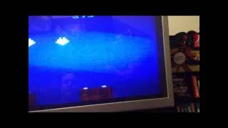 Thumbnail: Atari Air Raid with Box Auction on GameGavel starting 9/29/13