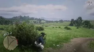 Thumbnail: Stupid ass Red Dead Online big