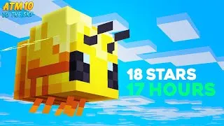 Thumbnail: Speedrunning The Starry Bee in World Record Time!