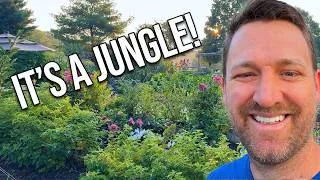 Thumbnail: Did Our Garden Survive a Week Without Us?