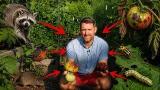 Thumbnail: Our Garden Is Under Attack... Now What?
