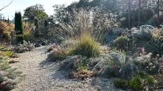 Thumbnail: The gravel garden, in a thaw following frost