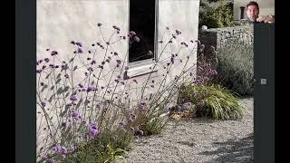 Thumbnail: Jo Wakelin's astonishing garden - Central Otago, NZ