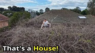 Thumbnail: I Found A Backyard That NOBODY Else Would Risk Taking On..