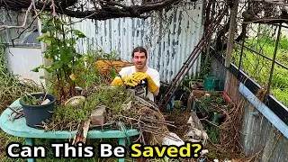 Thumbnail: Nothing Could Prepare Me For What This Family Was Living With!