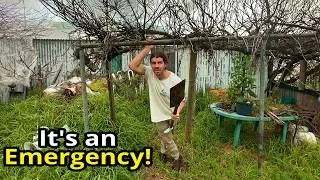 Thumbnail: Now I Understand Why This Family Gave Up...