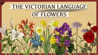 Thumbnail: The Victorian Language of Flowers, Explained