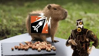 Thumbnail: I used to play R6 way too much
