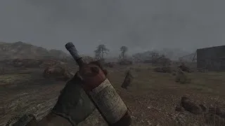 Thumbnail: I've finally modded Fallout New Vegas