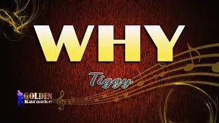 Thumbnail: Why By Tiggy  (The Golden Karaoke)