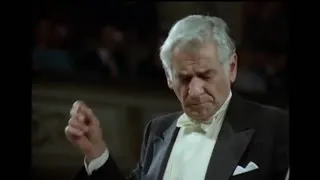 Thumbnail: Beethoven - String Quartet No. 14 in C♯ minor (Bernstein)