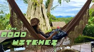 Thumbnail: Afro House & Indie Dance Jungle Mix | Gin