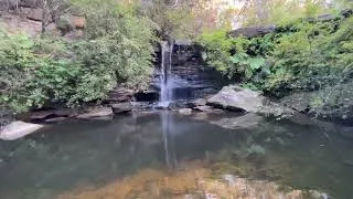Thumbnail: Nature sounds - Manly Dam, Sydney
