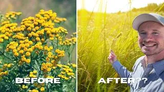 Thumbnail: Can I Restore This Ruined Pasture?
