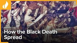 Thumbnail: The Black Death's Ports of Entry | The World's Most Devastating Plague