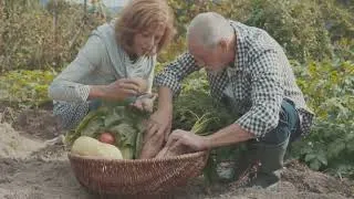 Thumbnail: Zone 5 July Planting 