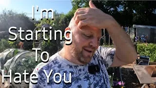 Thumbnail: Losing the love of gardening | Allotment Gardening UK