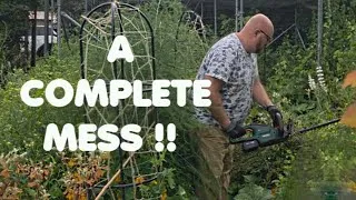 Thumbnail: My garden is a disaster!!! | Allotment Gardening UK