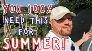 Thumbnail: Preventing the garden from dying | The Heatwave | Allotment Gardening UK