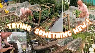 Thumbnail: Trying new things in the Garden | Heatwave Aftermath | Allotment Gardening Uk