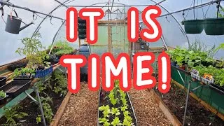 Thumbnail: Growing Tomatoes, Chillies and Peppers | Allotment Gardening UK