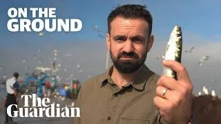 Thumbnail: Fishy business: who really profits when sardines go viral? | On the Ground