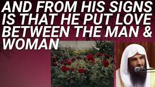 Thumbnail: And from HIS SIGNS is that HE MADE MATES from YOUR OWN SELVES - Sheikh Abdur Razzaq al Badr حفظه الل