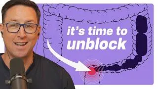 Thumbnail: The 4 Patterns of Constipation and How to Fix Them | The Gut Insiders Episode 12