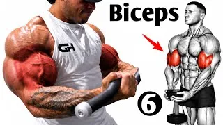 Thumbnail: 6 Biceps Exercises for Bigger, Stronger & Defined Arms