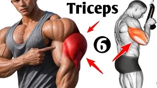 Thumbnail: 6 Best Triceps Exercises for Bigger Arms | Complete Triceps Workout