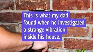 Thumbnail: People Who Found a Surprise When They Moved Into Their New Homes