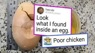 Thumbnail: People Who Discovered Something Unexpected Inside of an Ordinary Thing