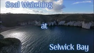 Thumbnail: Exploring Selwick Bay & Flamborough Head | Stunning Yorkshire Coast Drone Footage + Seals