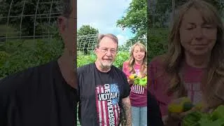 Thumbnail: How to Feed Your Garden - The Hillbilly Kitchen #garden #food #nutrition #plants #organic #farming