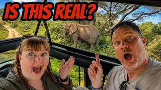 Thumbnail: We Couldn't Believe Our Eyes In TANZANIA 🇹🇿🐘