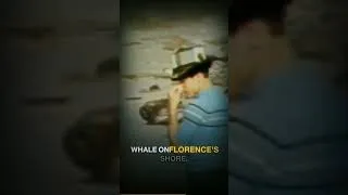 Thumbnail: The Exploding Whale of Florence Oregon 1970