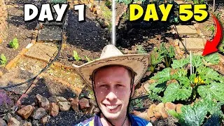 Thumbnail: What I'm Growing this NOVEMBER in my Garden - Gardening South Africa