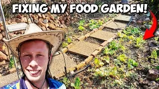 Thumbnail: Preparing my Garden to GROW Vegetables! | Timelapse - 2 Days in 30 Minutes