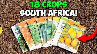 Thumbnail: Top 18 Vegetables to Grow in SEPTEMBER | Gardening South Africa