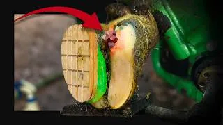 Thumbnail: Every Time I Pressed This Hoof … Something Came Out!