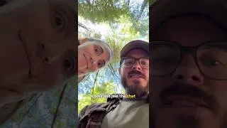 Thumbnail: Camping update from the Redwoods 🌲 #newmusic #musicvideo #camping