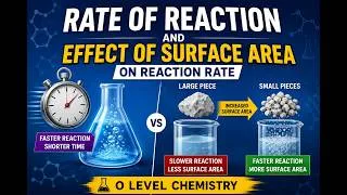 Thumbnail: Effect of Surface Area on Rate of Reaction | GCSE Chemistry Explained