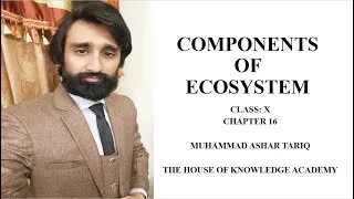 Thumbnail: Components of an ecosystem | Chapter # 16 | Biology Class 10th