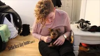 Thumbnail: Stella first day home part 2