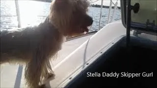 Thumbnail: Stella Daddy Skipper Gurl